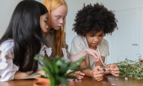 Children Kids Science Biology pexels-monstera-5063444